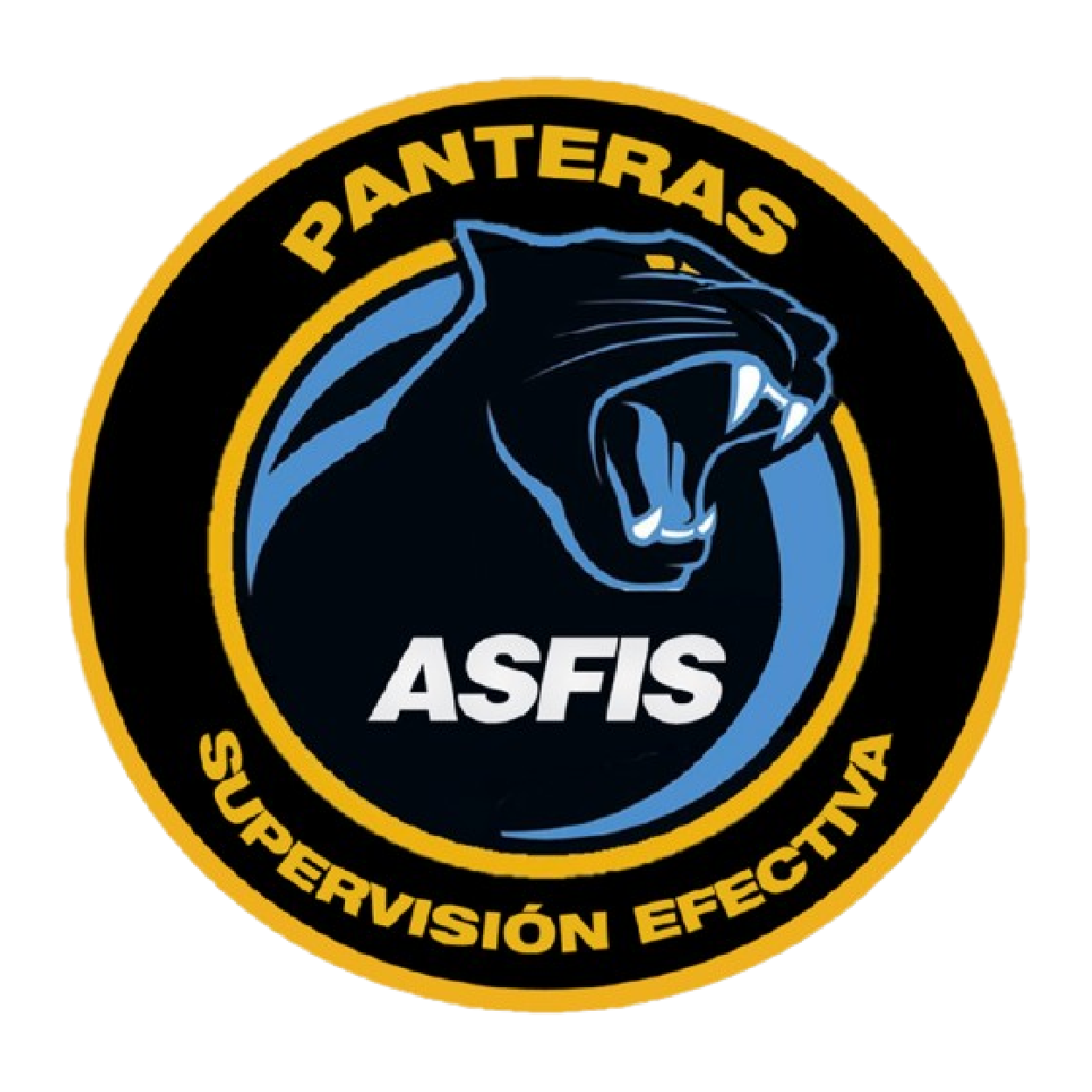 Supervisión Efectiva